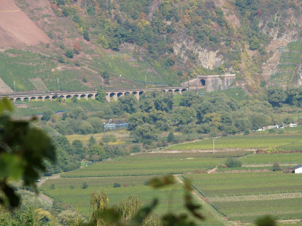 B&B Briedel Dış mekan fotoğraf